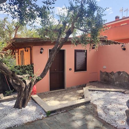 Sunrise Home Fiumicino Zewnętrze zdjęcie