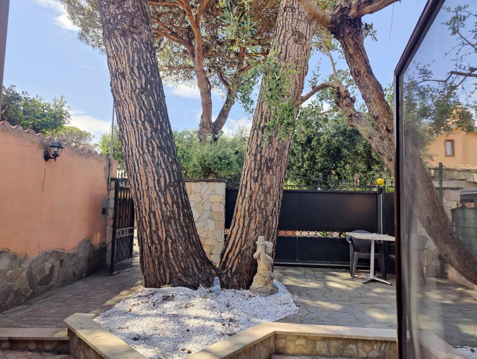 Sunrise Home Fiumicino Zewnętrze zdjęcie